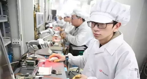 冲刺最大LTPS单体工厂，抢占5G网络新高地——3551企业打响开年第一炮