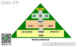 右脑思维 战略咨询中的创新引擎与竞争优势
